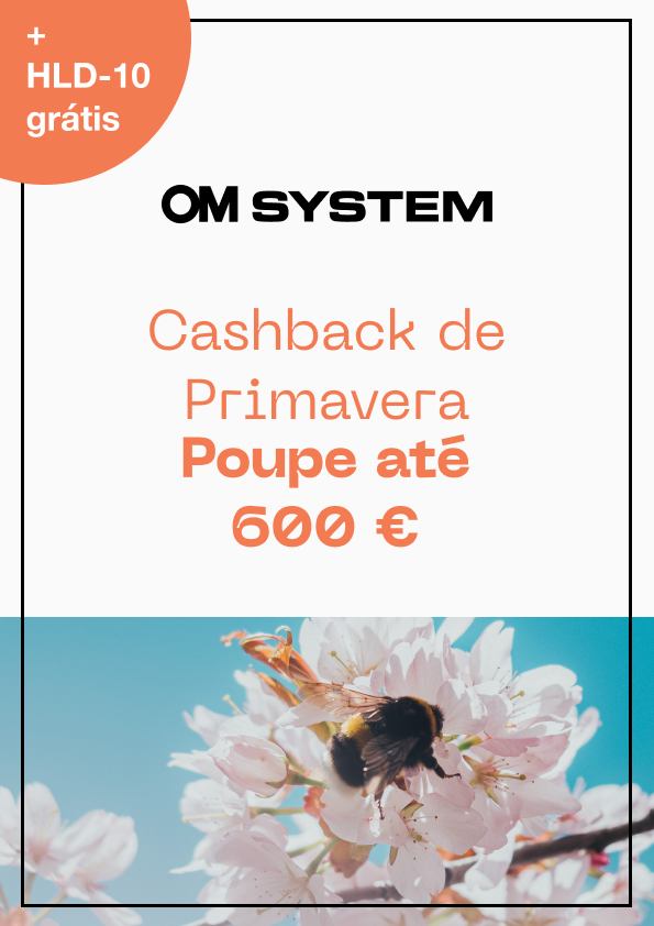 CAMPANHA DE PRIMAVERA