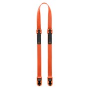 Correia LEASH (IBIS)