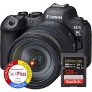 EOS R6 Mark II + RF 24-105MM F4 L IS USM