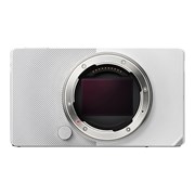 BF - Corpo (Silver)
