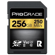SDXC UHS-II V60 Gold 256GB 250Mb/s