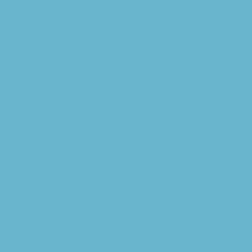 COLORFOTO Fundo Wedgewood 44 2,72x11m